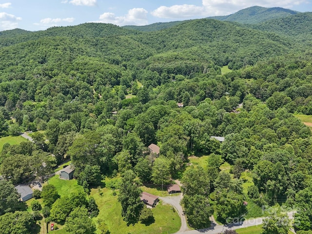 139 Trent Rd, Brevard, NC 28712 - photo 26