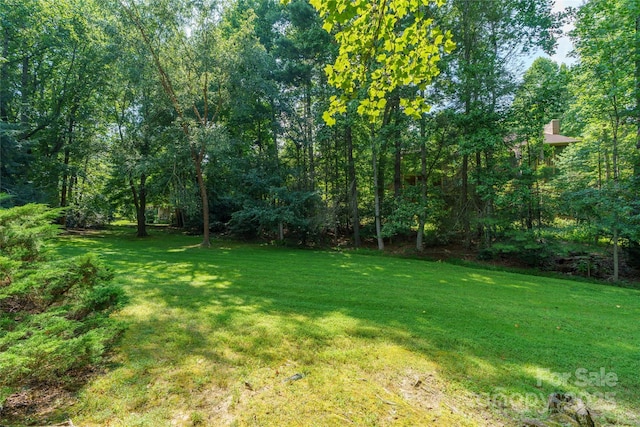 501 Red Oak Dr, Hendersonville, NC 28791 - photo 32