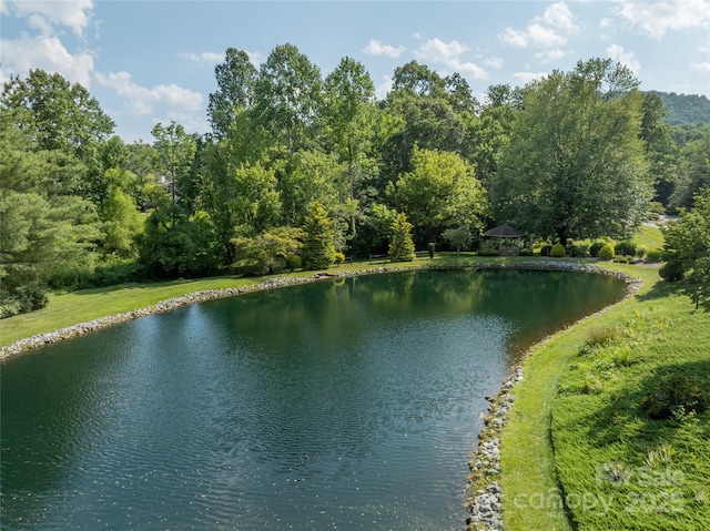 501 Red Oak Dr, Hendersonville, NC 28791 - photo 33