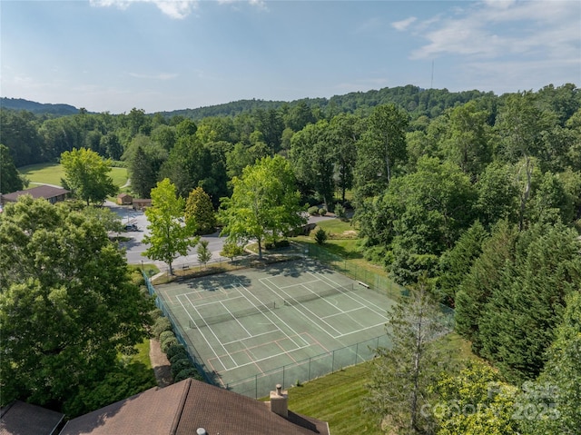 501 Red Oak Dr, Hendersonville, NC 28791 - photo 37