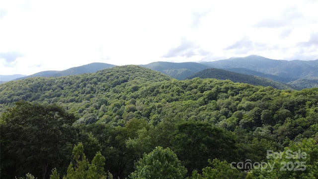 211 Sky Dr, Maggie Valley, NC 28751 - photo 18