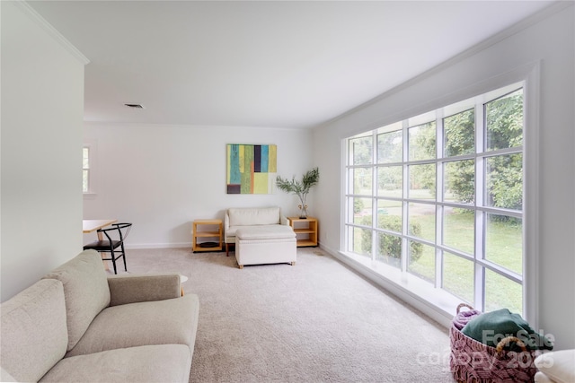 303 Odell St, Kannapolis, NC 28083 - living area with plenty of natural light, carpet floors, and ornamental molding