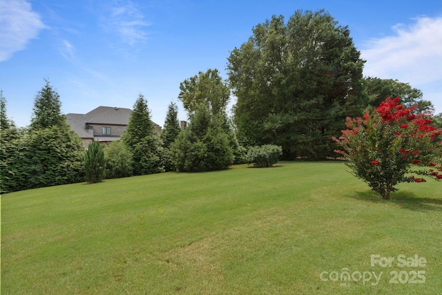 1001 Manorwyck Farms Dr, Waxhaw, NC 28173 - photo 42