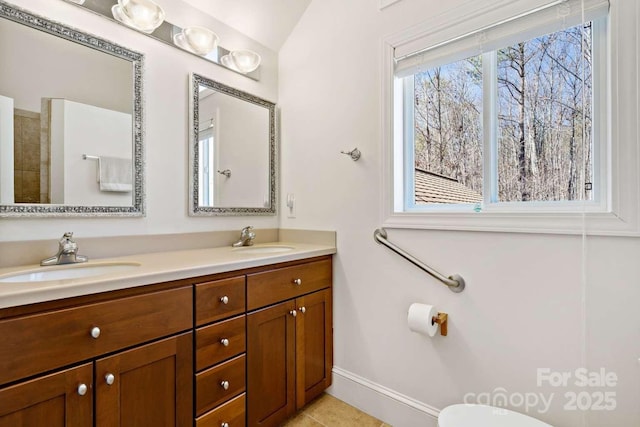 244 Timberlake Rd, Bostic, NC 28018 - full bath with double vanity and toilet