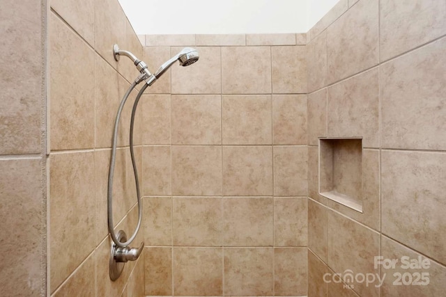 244 Timberlake Rd, Bostic, NC 28018 - bathroom view of a tile shower