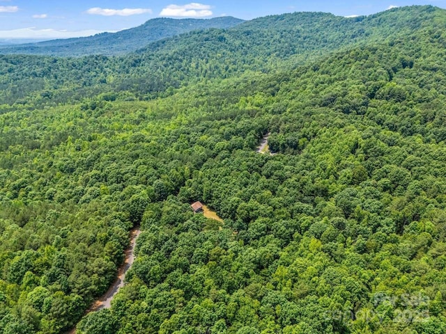 244 Timberlake Rd, Bostic, NC 28018 - bird's eye view of a forest and a mountain backdrop