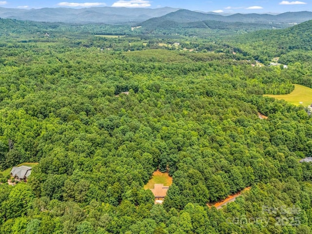 244 Timberlake Rd, Bostic, NC 28018 - photo 39