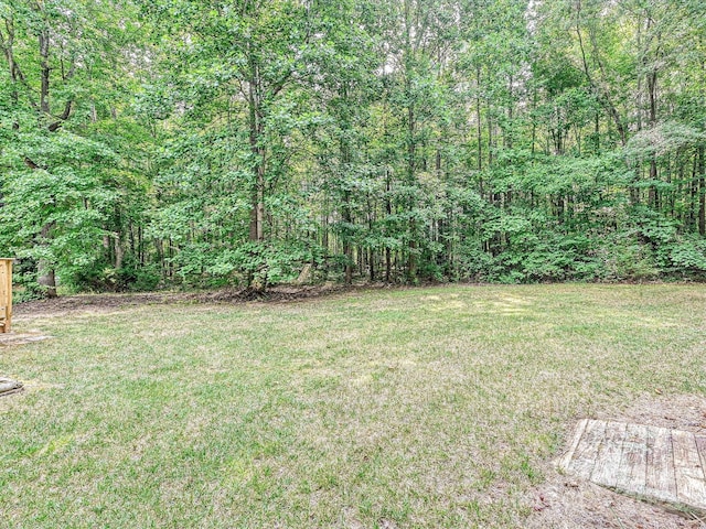 2055 Sunswept Ln, York, SC 29745 - photo 38