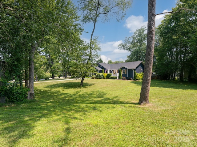 206 Pinner Rd, Arden, NC 28704 - photo 44
