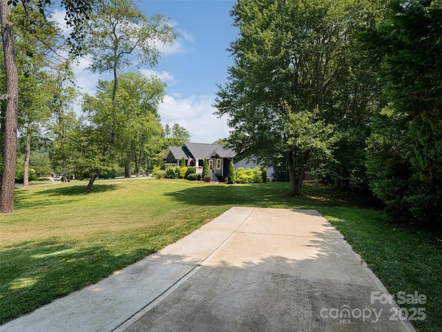 206 Pinner Rd, Arden, NC 28704 - photo 45