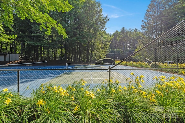 28 Toxaway Pt Unit B7, Lake Toxaway, NC 28747 - view of tennis court
