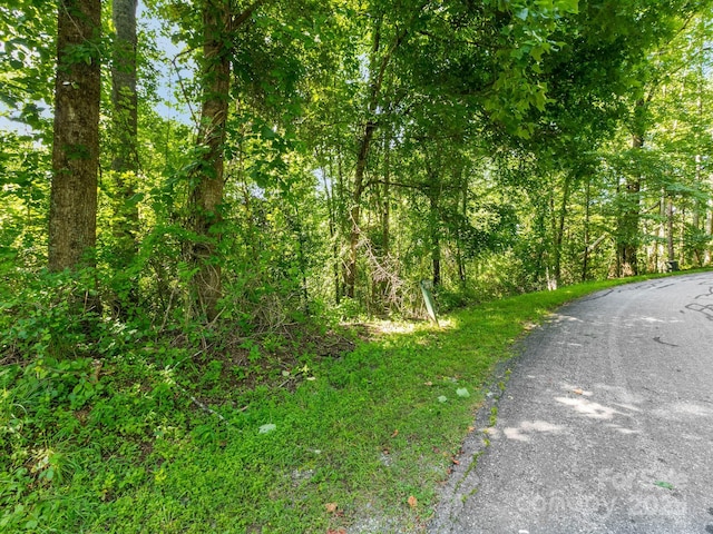 9999 Stone Valley Way Unit 21Ph 1, Hendersonville, NC 28792 - photo 2