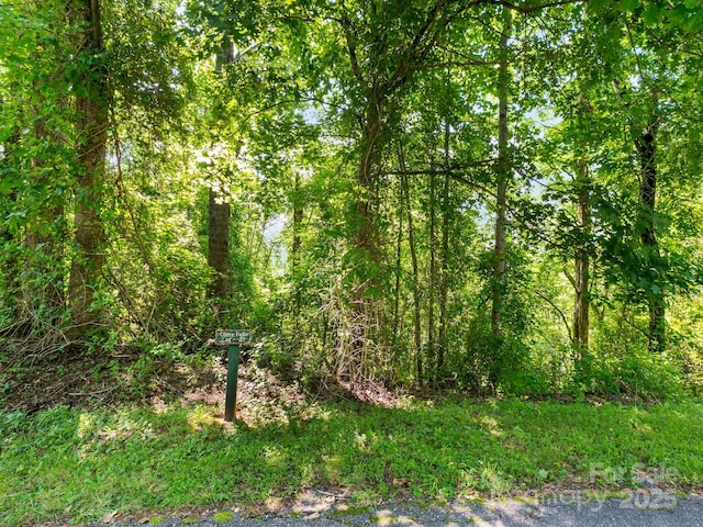 9999 Stone Valley Way Unit 21Ph 1, Hendersonville, NC 28792 - photo 3