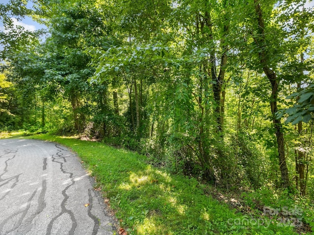9999 Stone Valley Way Unit 21Ph 1, Hendersonville, NC 28792 - photo 4