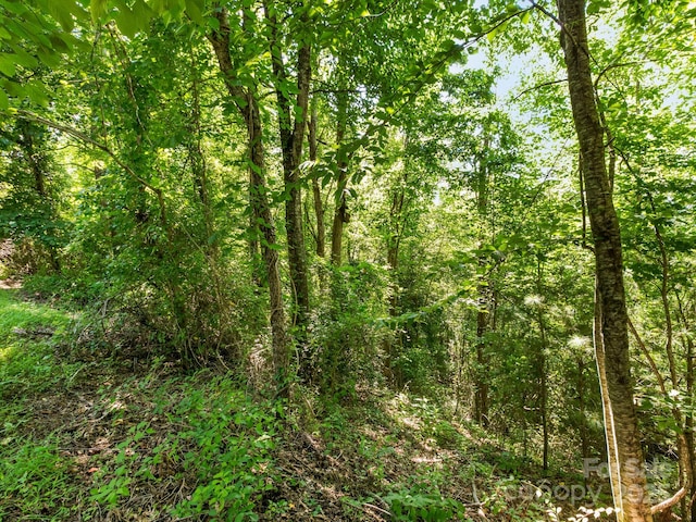 9999 Stone Valley Way Unit 21Ph 1, Hendersonville, NC 28792 - photo 5