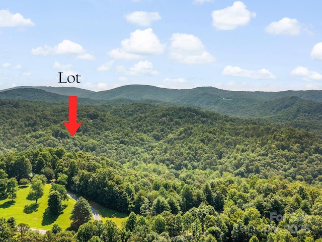 9999 Stone Valley Way Unit 21Ph 1, Hendersonville, NC 28792 - photo 7