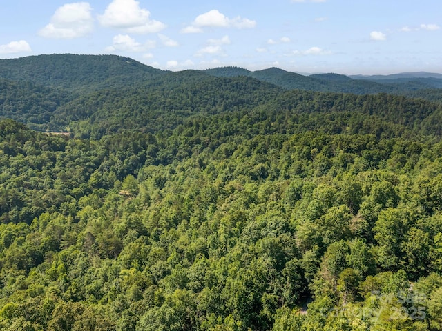 9999 Stone Valley Way Unit 21Ph 1, Hendersonville, NC 28792 - photo 9