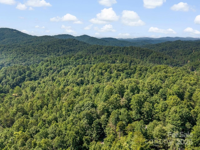 9999 Stone Valley Way Unit 21Ph 1, Hendersonville, NC 28792 - photo 10