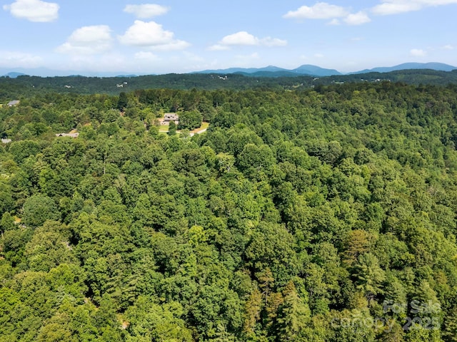 9999 Stone Valley Way Unit 21Ph 1, Hendersonville, NC 28792 - photo 12