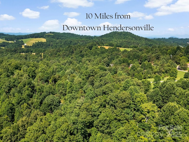 9999 Stone Valley Way Unit 21Ph 1, Hendersonville, NC 28792 - photo 13