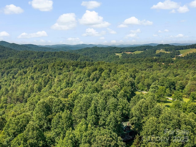 9999 Stone Valley Way Unit 21Ph 1, Hendersonville, NC 28792 - photo 14