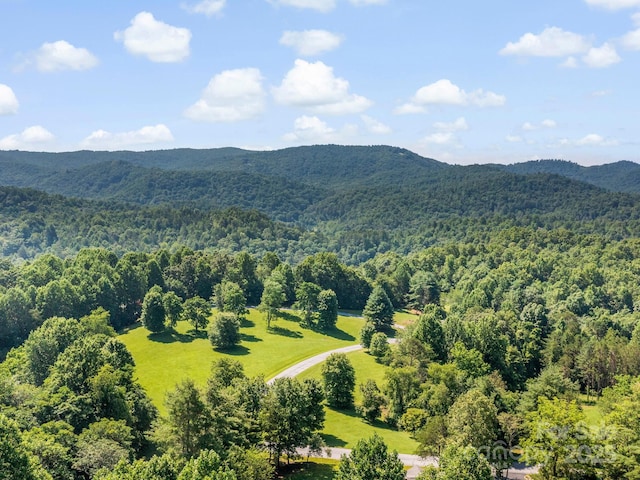 9999 Stone Valley Way Unit 21Ph 1, Hendersonville, NC 28792 - photo 15