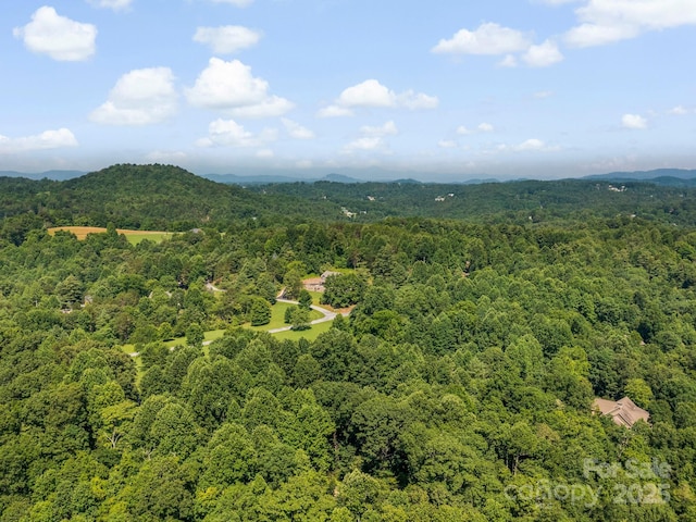 9999 Stone Valley Way Unit 21Ph 1, Hendersonville, NC 28792 - photo 16