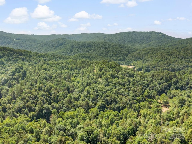 9999 Stone Valley Way Unit 21Ph 1, Hendersonville, NC 28792 - photo 17