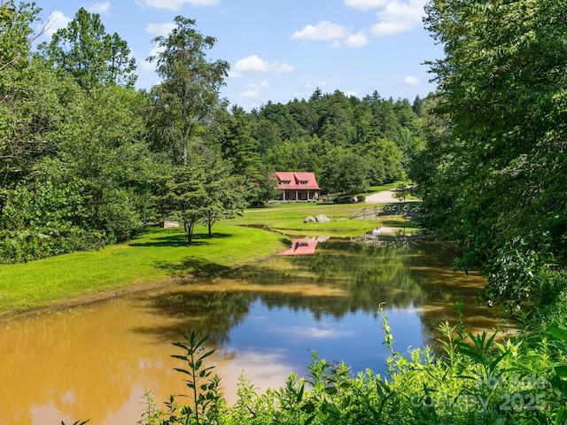 9999 Stone Valley Way Unit 21Ph 1, Hendersonville, NC 28792 - photo 18
