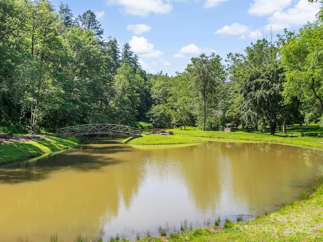9999 Stone Valley Way Unit 21Ph 1, Hendersonville, NC 28792 - photo 21