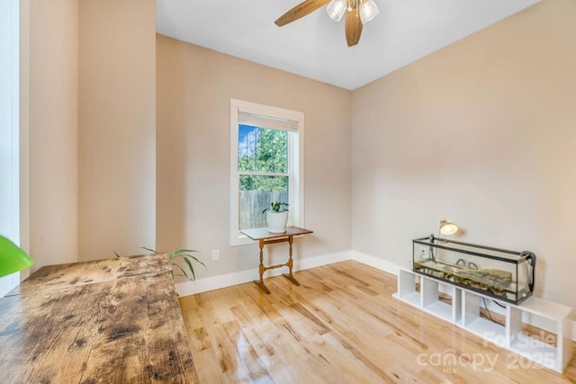 11 May St, Asheville, NC 28803 - photo 27