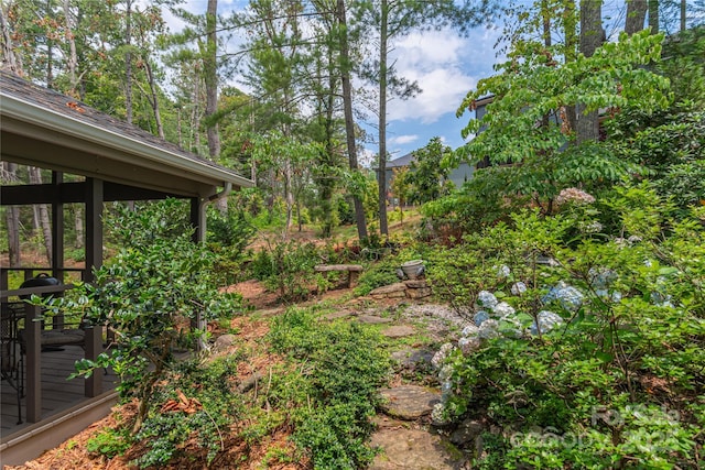 25 Brookcliff Dr, Asheville, NC 28804 - photo 36