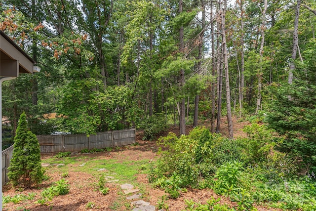25 Brookcliff Dr, Asheville, NC 28804 - photo 38