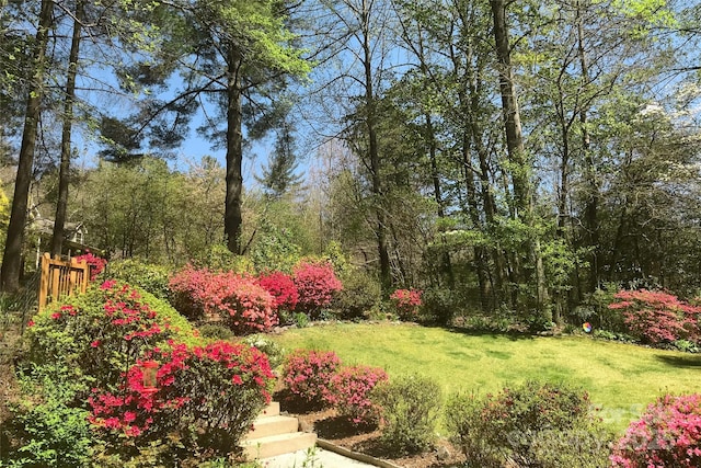 227 Acorn Ln, Pisgah Forest, NC 28768 - view of green lawn