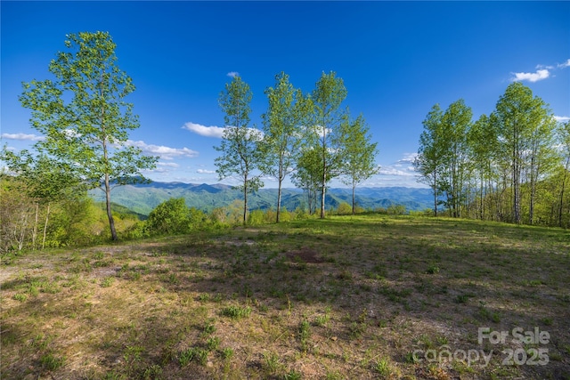 3409 Parris Branch Rd, Sylva, NC 28779