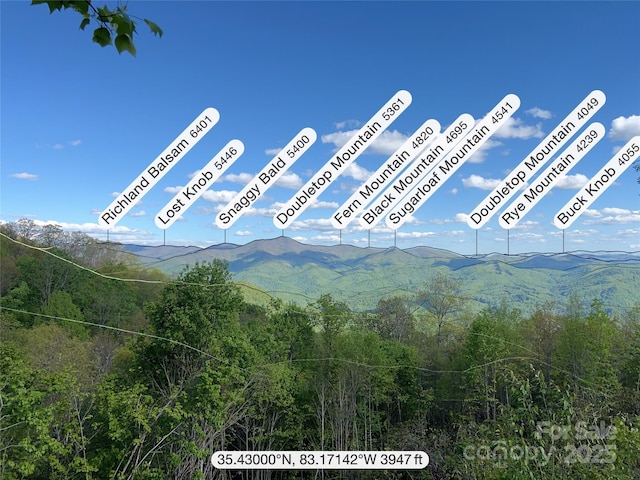 3409 Parris Branch Rd, Sylva, NC 28779
