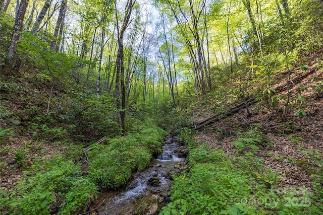 3409 Parris Branch Rd, Sylva, NC 28779