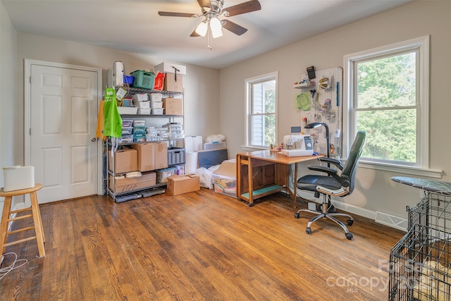 34 Vandalia Ave, Asheville, NC 28806 - photo 21