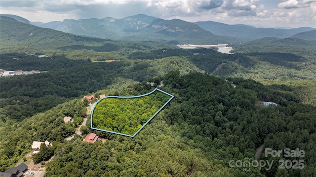 240 Boulder Rdg, Lake Lure, NC 28746 - photo 1