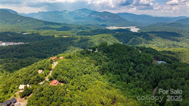 240 Boulder Rdg, Lake Lure, NC 28746 - photo 2