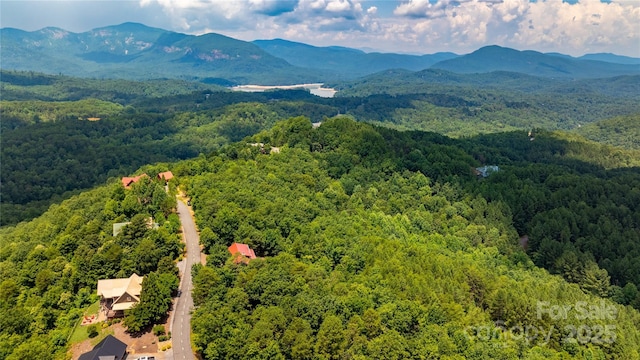 240 Boulder Rdg, Lake Lure, NC 28746 - photo 3