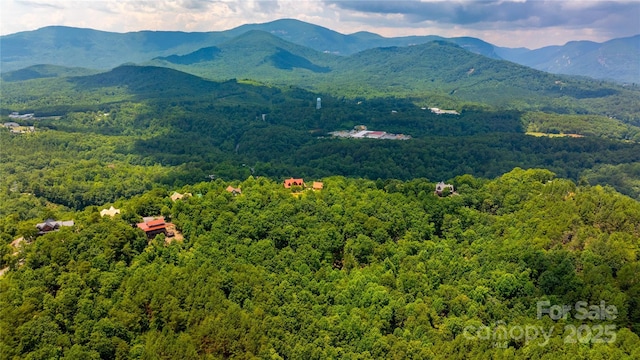 240 Boulder Rdg, Lake Lure, NC 28746 - photo 4