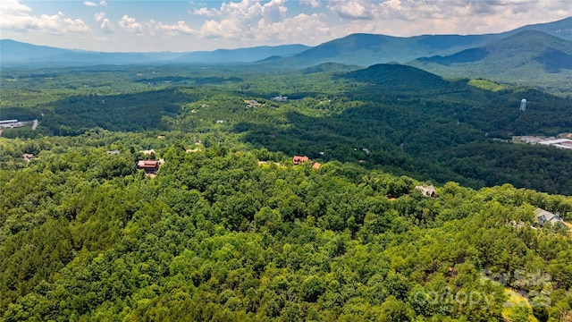 240 Boulder Rdg, Lake Lure, NC 28746 - photo 5