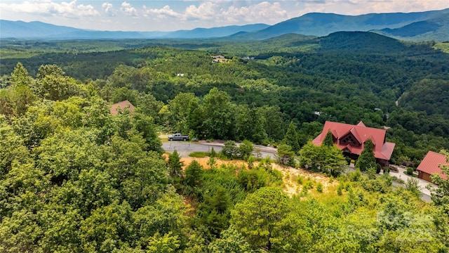 240 Boulder Rdg, Lake Lure, NC 28746 - photo 6