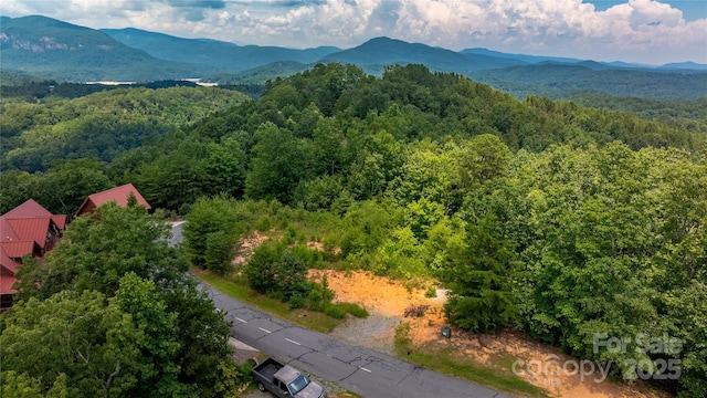 240 Boulder Rdg, Lake Lure, NC 28746 - photo 7