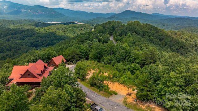 240 Boulder Rdg, Lake Lure, NC 28746 - photo 9