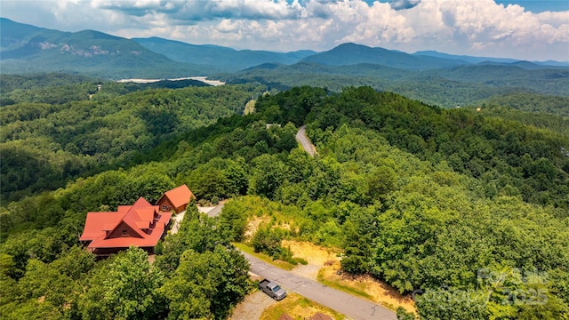 240 Boulder Rdg, Lake Lure, NC 28746 - photo 13