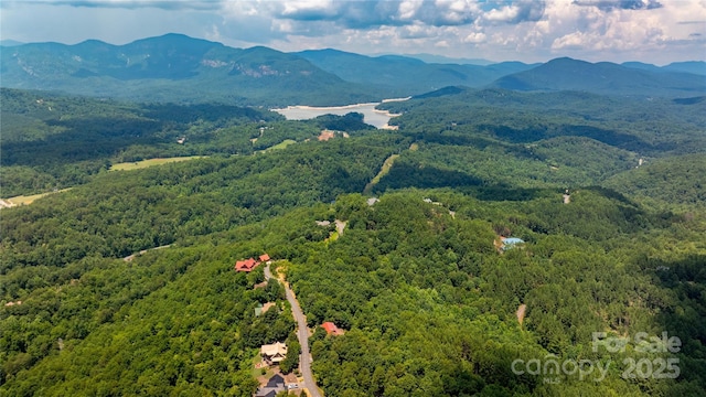 240 Boulder Rdg, Lake Lure, NC 28746 - photo 14