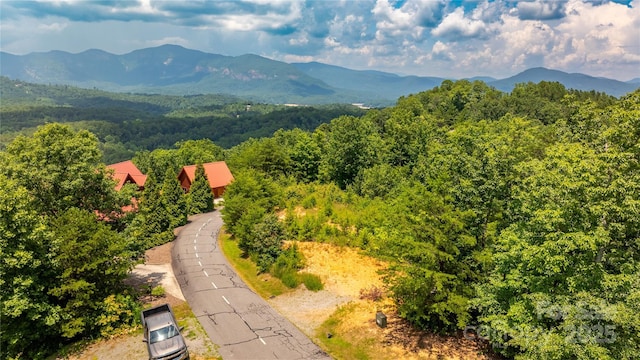 240 Boulder Rdg, Lake Lure, NC 28746 - photo 15