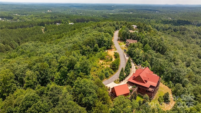 240 Boulder Rdg, Lake Lure, NC 28746 - photo 16